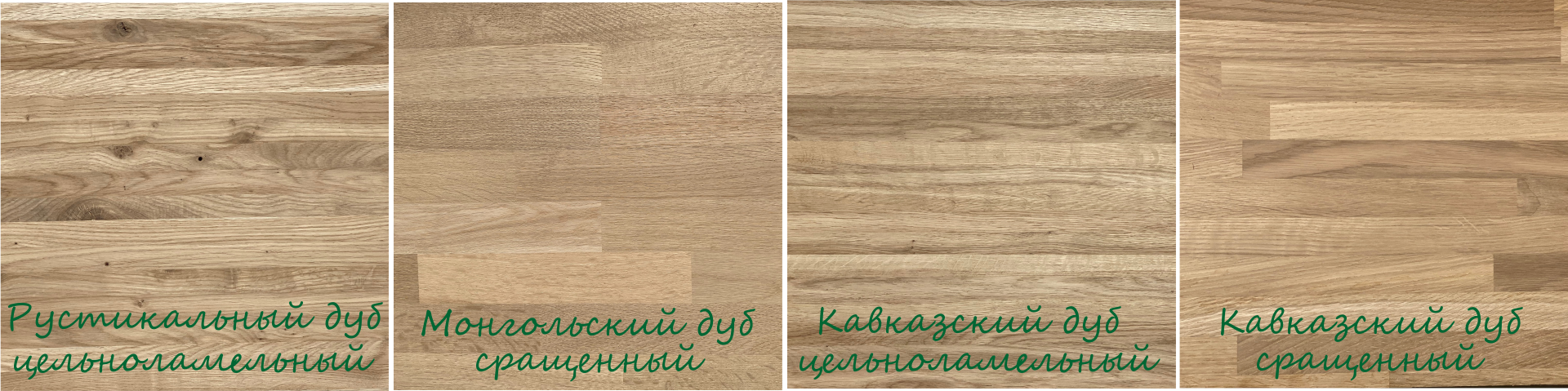 Фото дуба для сравнения